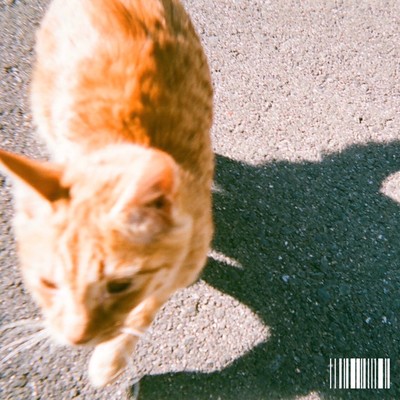 Film Camera (feat. Jiyukenkyu) Front Cover