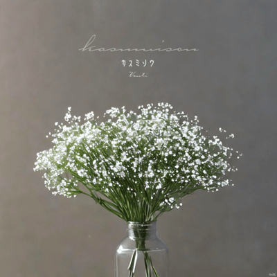 カスミソウのジャケット写真