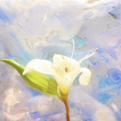 all in blue Front Cover