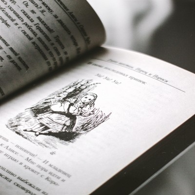 Alice Dream Syndrome Front Cover