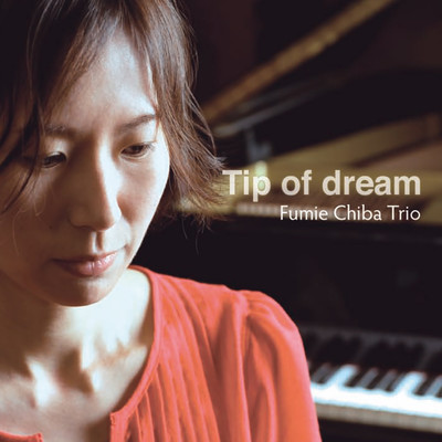 Tip of dream Front Cover