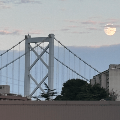 my tarot reading Front Cover