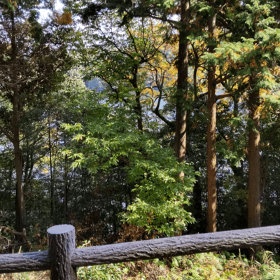 my tarot reading (2025 Remaster) Front Cover