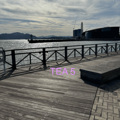 TEA5 (Off Vacal) Front Cover