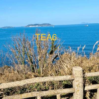 TEA6 (Off Vocal) Front Cover