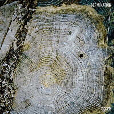 GERMINATIONのジャケット写真