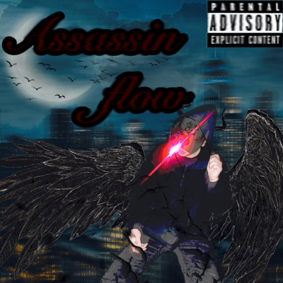 Assassin flow Front Cover