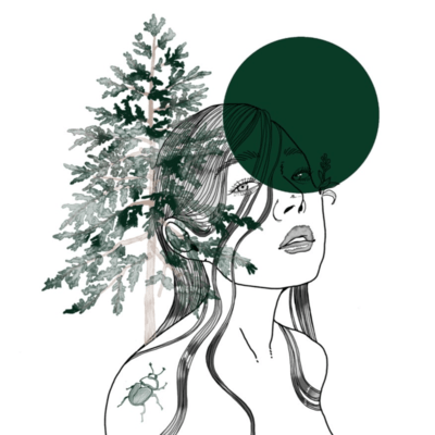 山登りのジャケット写真