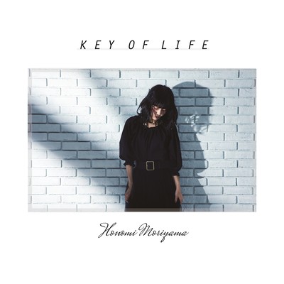 KEY OF LIFE Front Cover