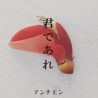 君であれのジャケット写真