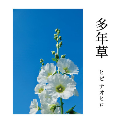 多年草のジャケット写真