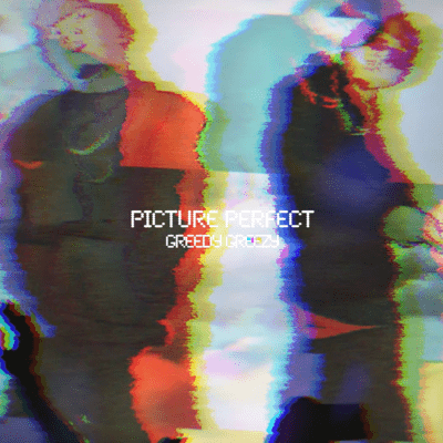 Picture Perfect Front Cover