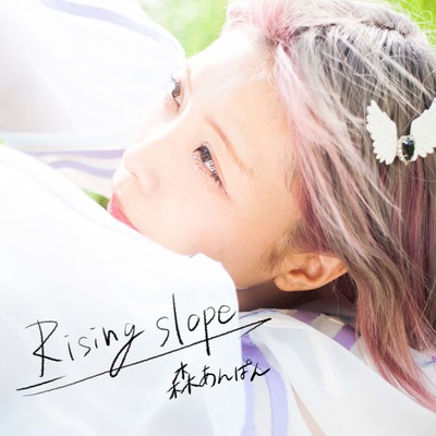Risingslopのジャケット写真