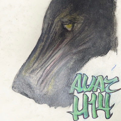 H14 Front Cover