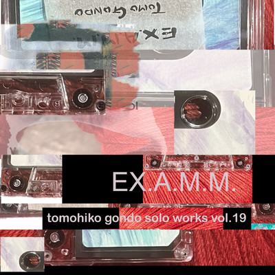 Solo Works vol.19 EX.A.M.M Front Cover