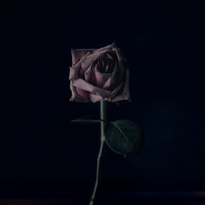 Unsatisfied Front Cover