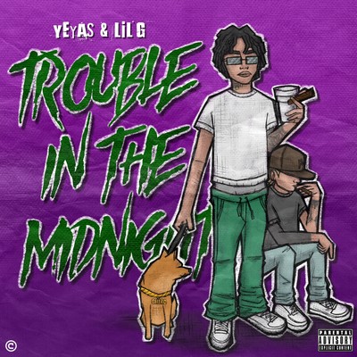 TROUBLE IN THE MIDNIGHT Front Cover