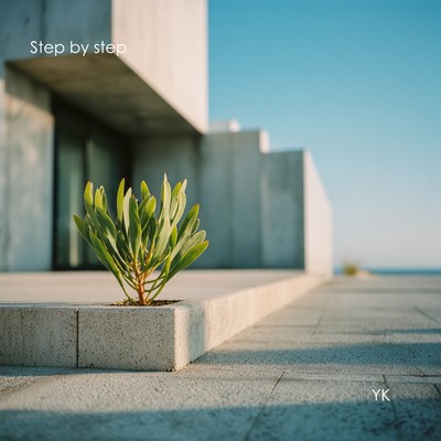 Step by step Front Cover