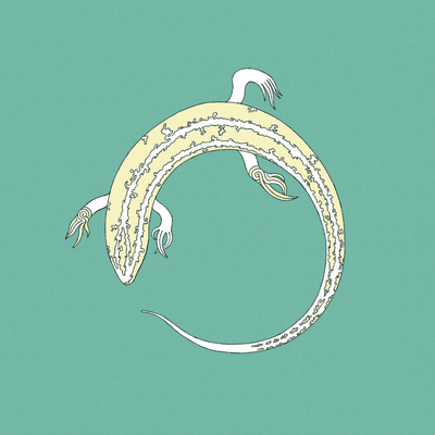 フラニーのジャケット写真