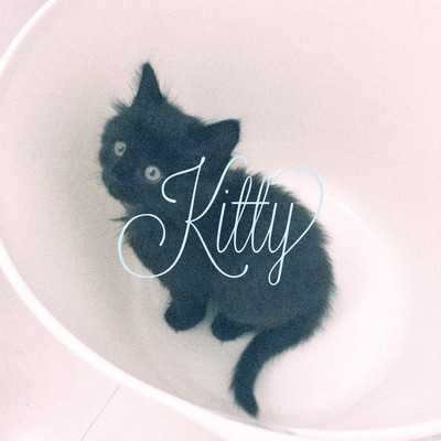 Kitty Front Cover