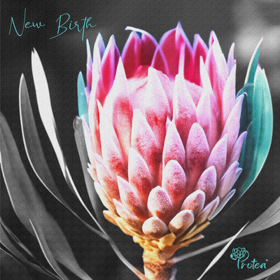 New Birth Front Cover