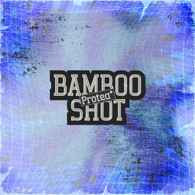 BAMBOO SHOTのジャケット写真