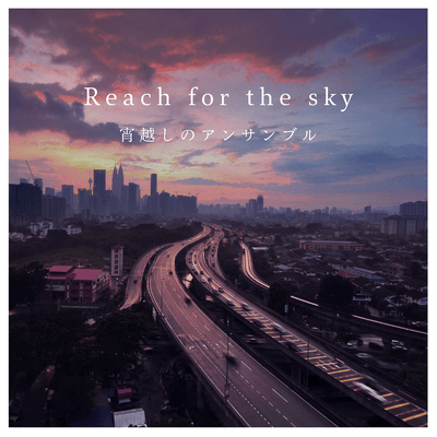 Reach for the sky Front Cover