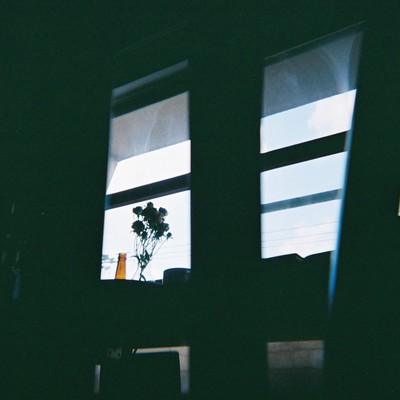 Blind Front Cover