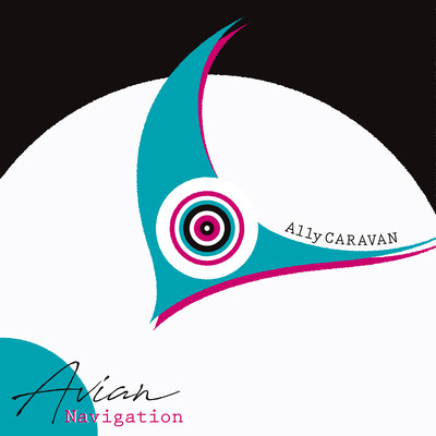 Avian Navigation Front Cover