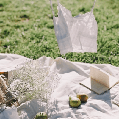 feminist.picnic Front Cover