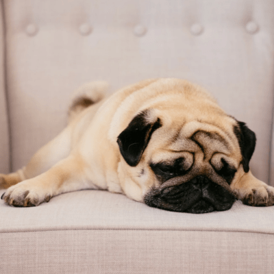 it's ok not to be okのジャケット写真