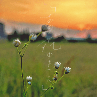あの花のようにのジャケット写真