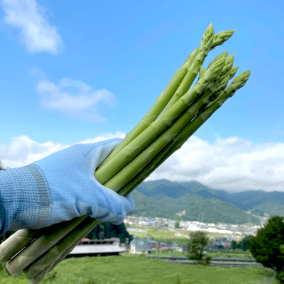 Asparagus Song Front Cover