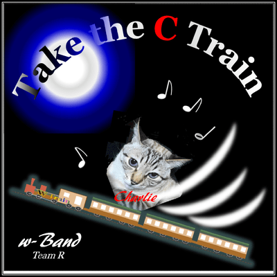 Take the 'C' train ! Front Cover