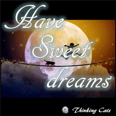 Have sweet dreamsのジャケット写真