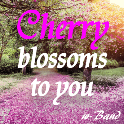 Cherry blossoms to you Front Cover