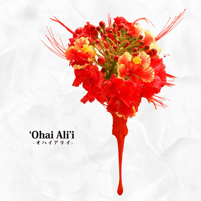 ‘Ohai Ali’iのジャケット写真