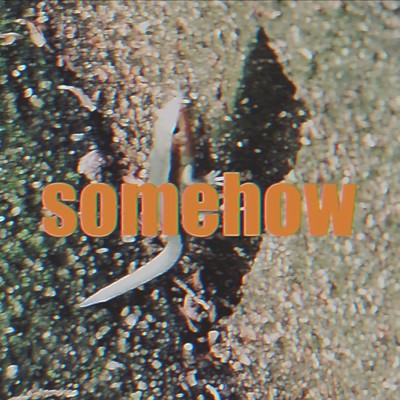 somehowのジャケット写真