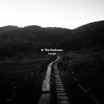 In The Darkness Front Cover