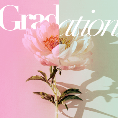 Gradation Front Cover