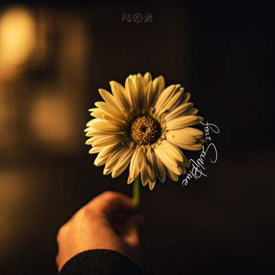 DAY&NIGHT (feat. SOUTH BLUE) Front Cover