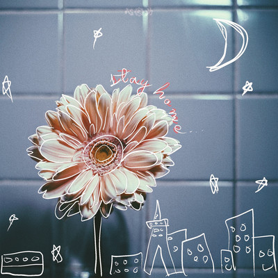 Stay Home Front Cover