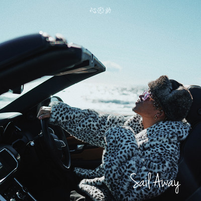 SAIL AWAYのジャケット写真