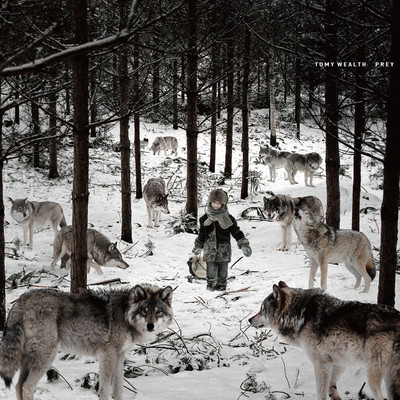 Prey Front Cover