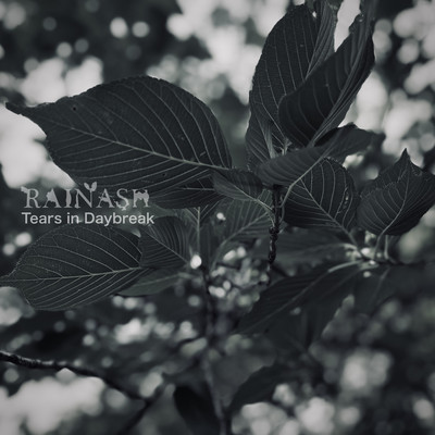 Tears in Daybreakのジャケット写真