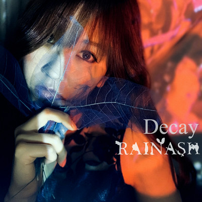 Decay Front Cover