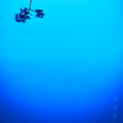 Pale Songs (Acoustic Ver.) Front Cover