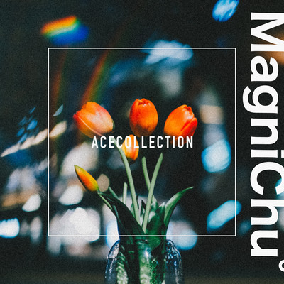 MagniChu° Front Cover