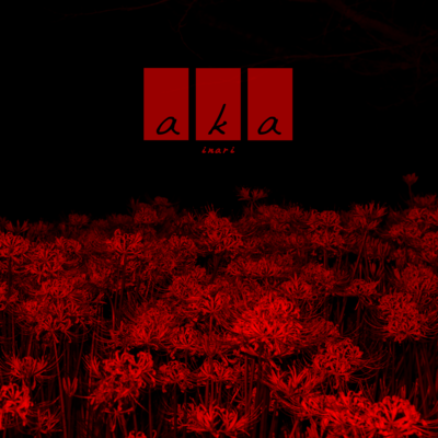 aka Front Cover