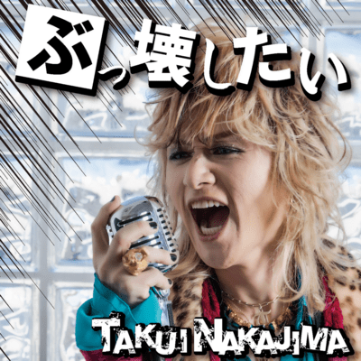 〈ぶっ〉壊したいのジャケット写真